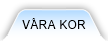 Våra kor